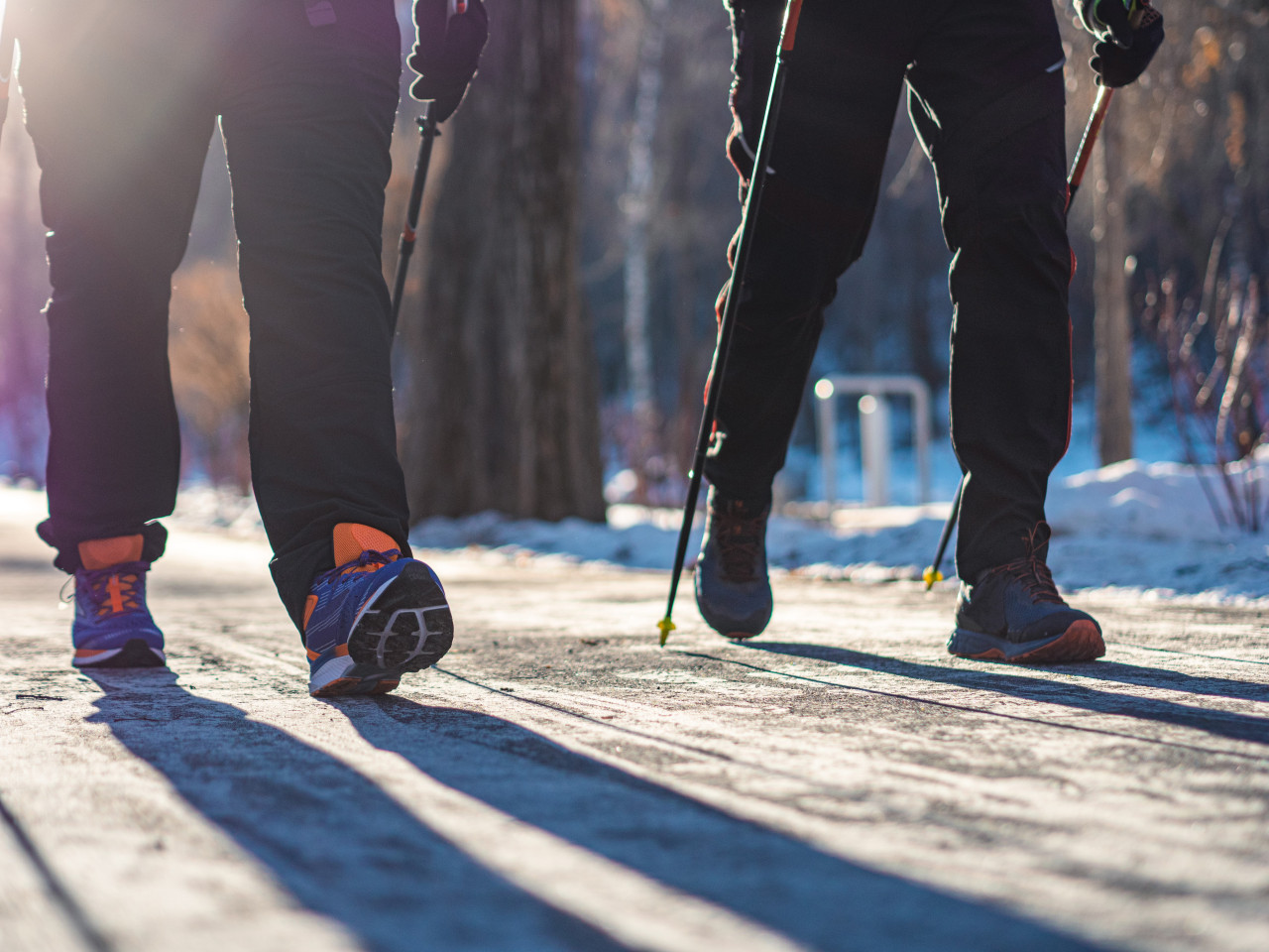 Nordic Walking Privatunterricht 