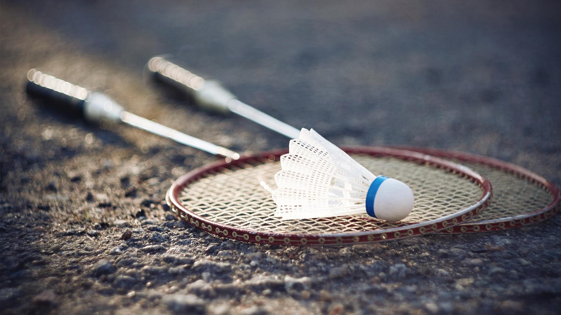 Badminton Zürich
